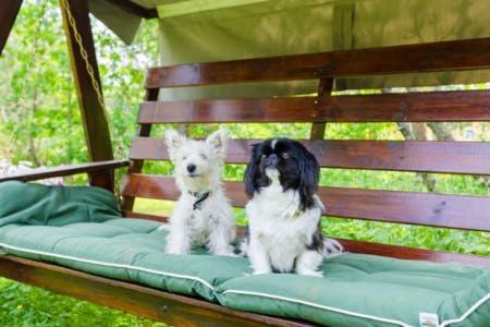 Poppelstrand Nuuksio, Pet Friendly Guest Apartment Luaran gambar